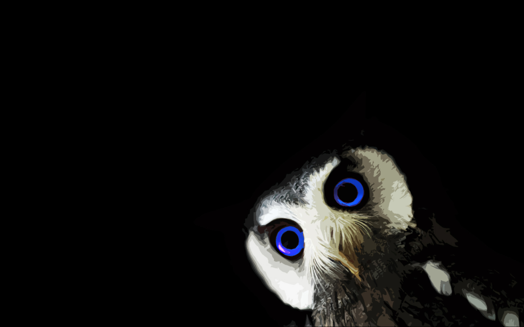 Funny Owl With Big Blue Eyes wallpaper 1680x1050