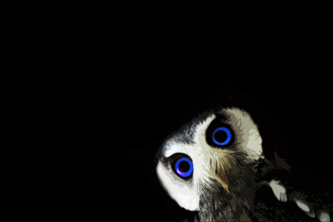 Funny Owl With Big Blue Eyes screenshot #1 480x320