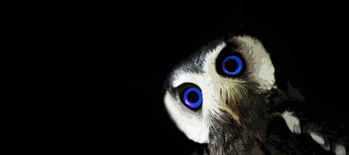 Das Funny Owl With Big Blue Eyes Wallpaper 720x320