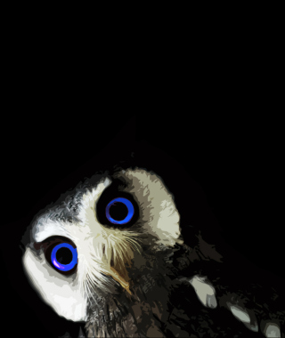 Funny Owl With Big Blue Eyes - Obrázkek zdarma pro Nokia Asha 308