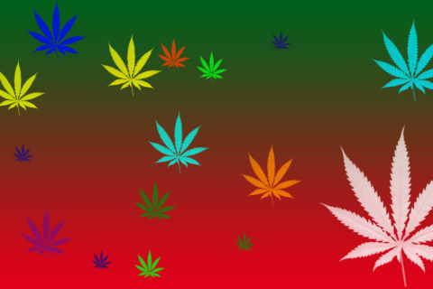 Screenshot №1 pro téma Weed Colours 480x320
