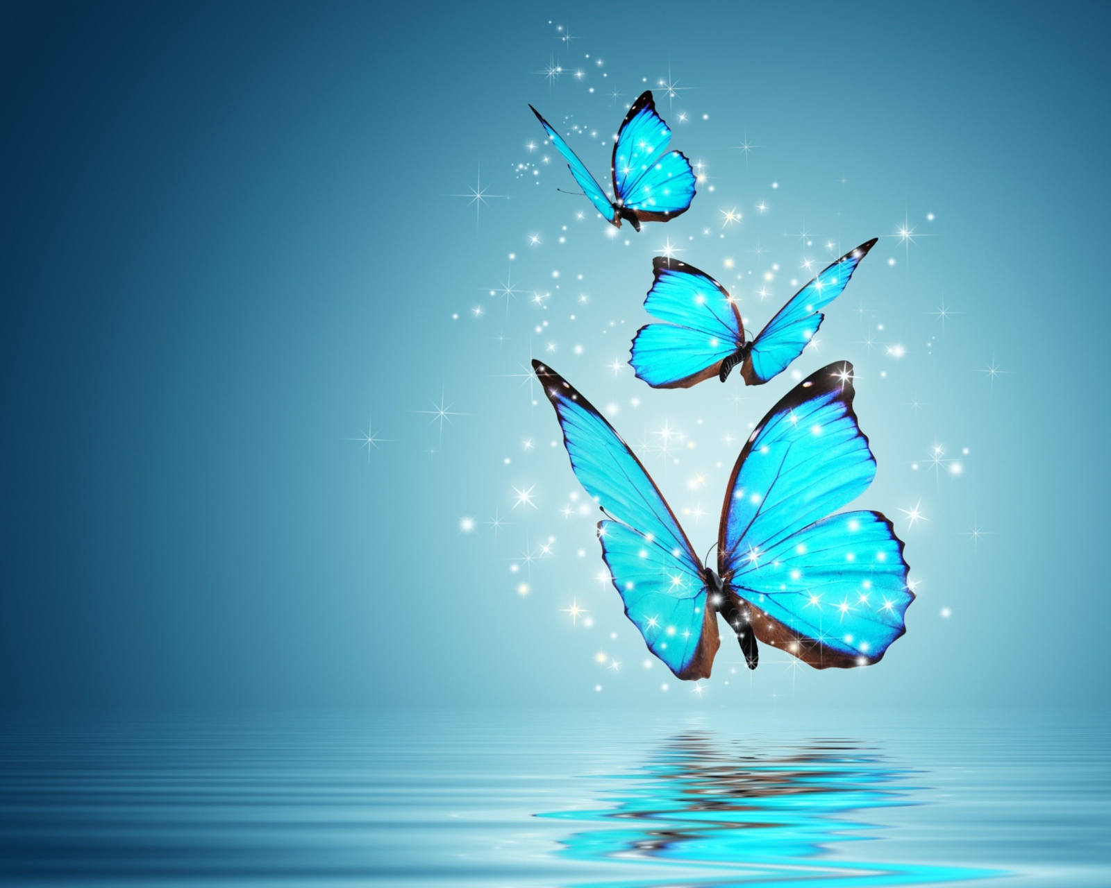 Das Blue Butterflies Wallpaper 1600x1280