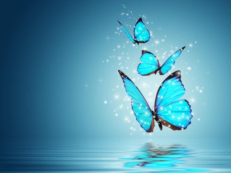 Sfondi Blue Butterflies 800x600