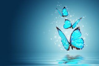 Blue Butterflies - Obrázkek zdarma pro Samsung Galaxy S 4G
