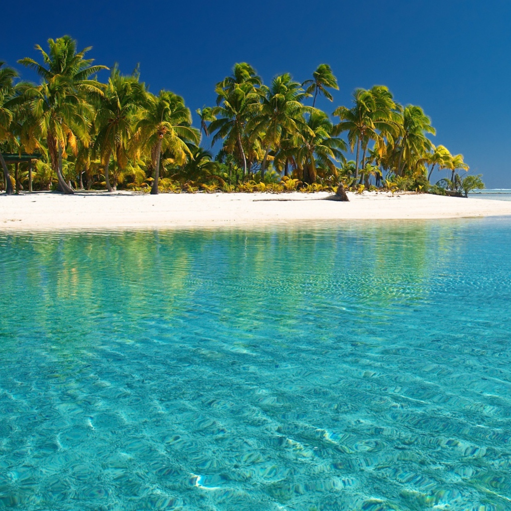 Fondo de pantalla Tropical White Beach With Crystal Clear Water 1024x1024