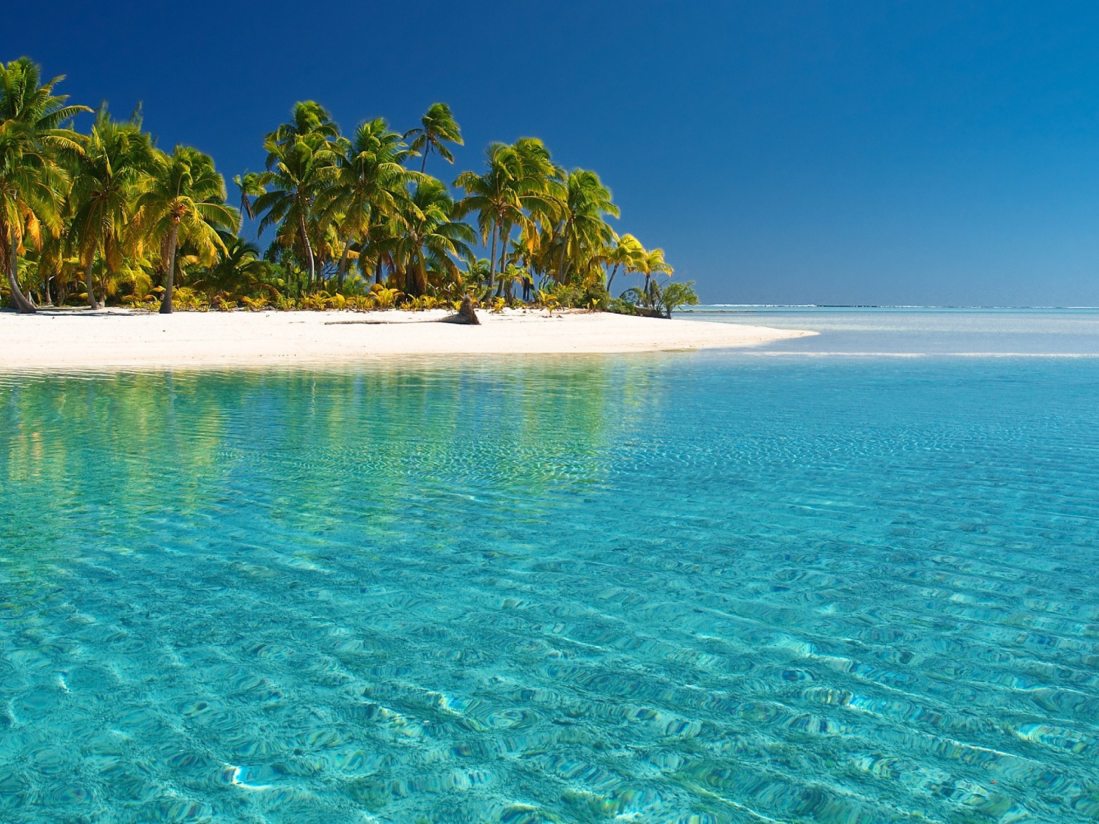 Обои Tropical White Beach With Crystal Clear Water 1600x1200