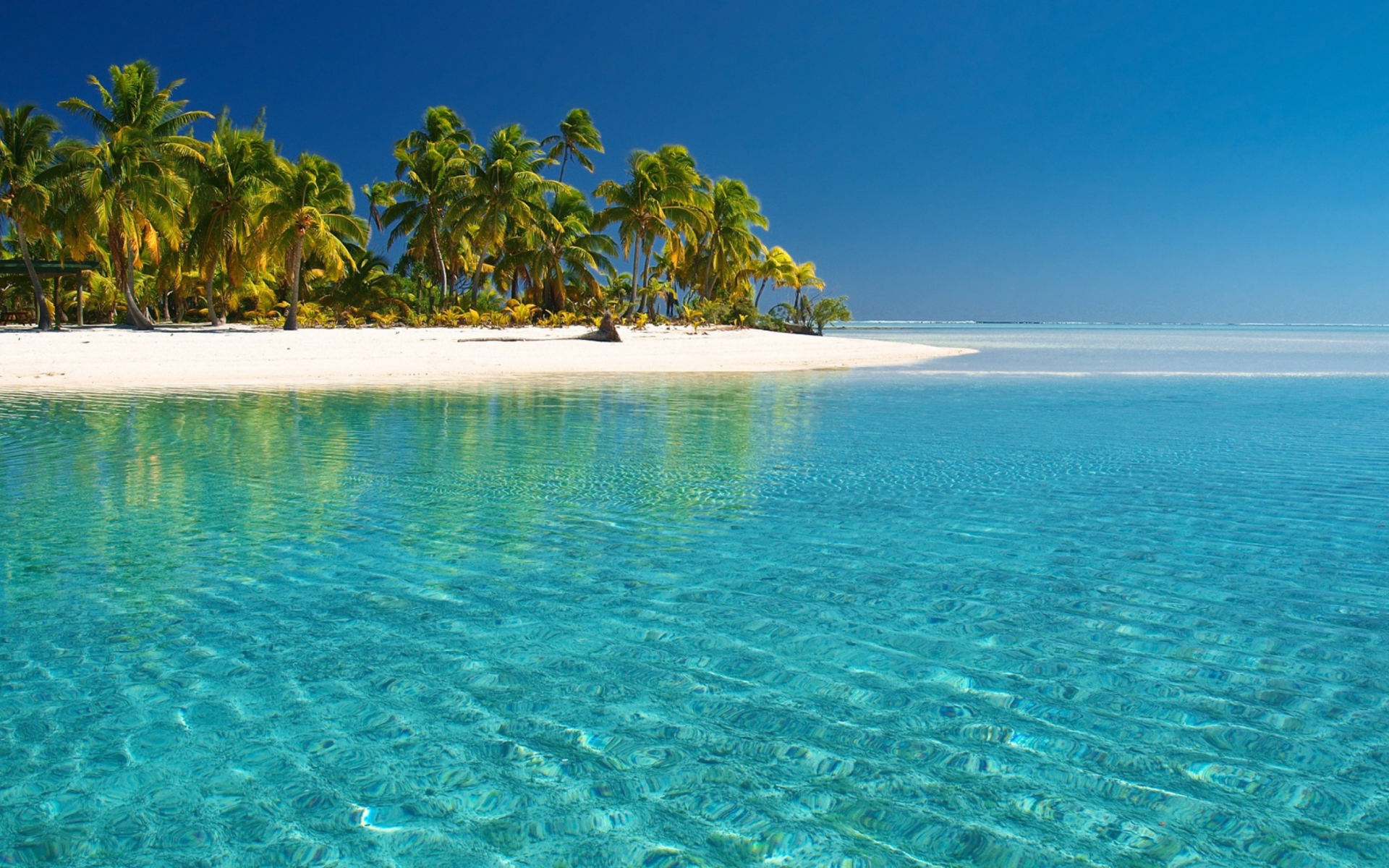 Fondo de pantalla Tropical White Beach With Crystal Clear Water 1920x1200