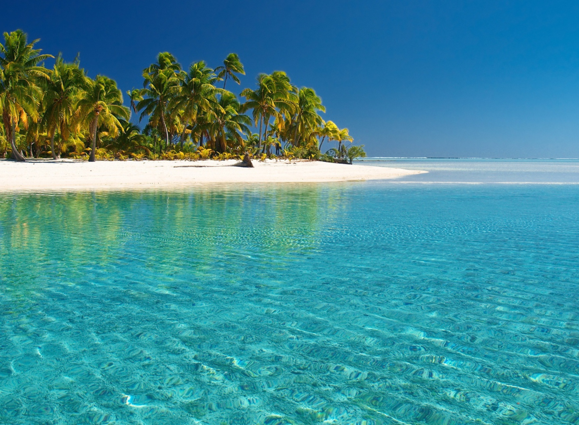 Tropical White Beach With Crystal Clear Water wallpaper 1920x1408