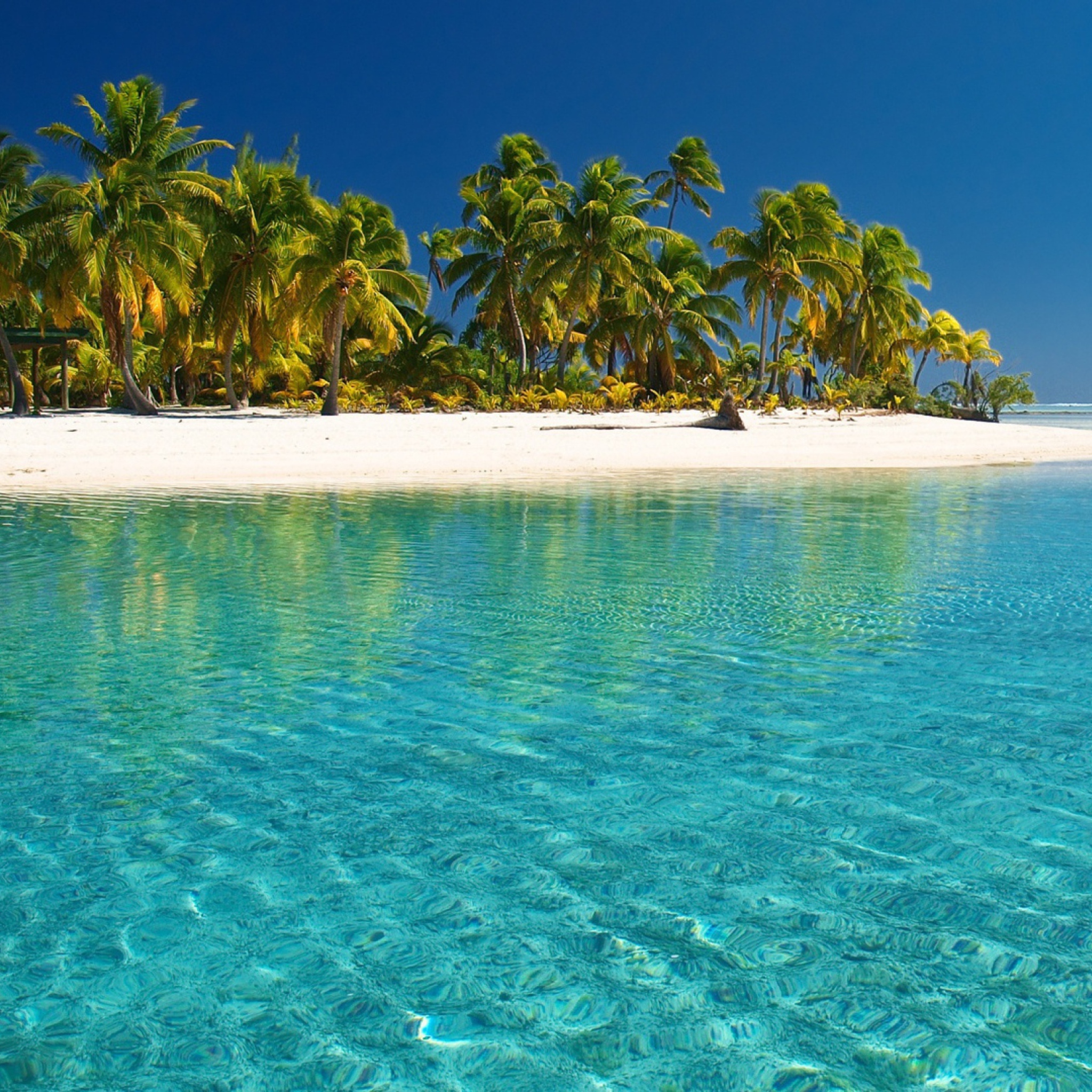 Das Tropical White Beach With Crystal Clear Water Wallpaper 2048x2048