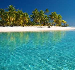 Tropical White Beach With Crystal Clear Water sfondi gratuiti per 128x128