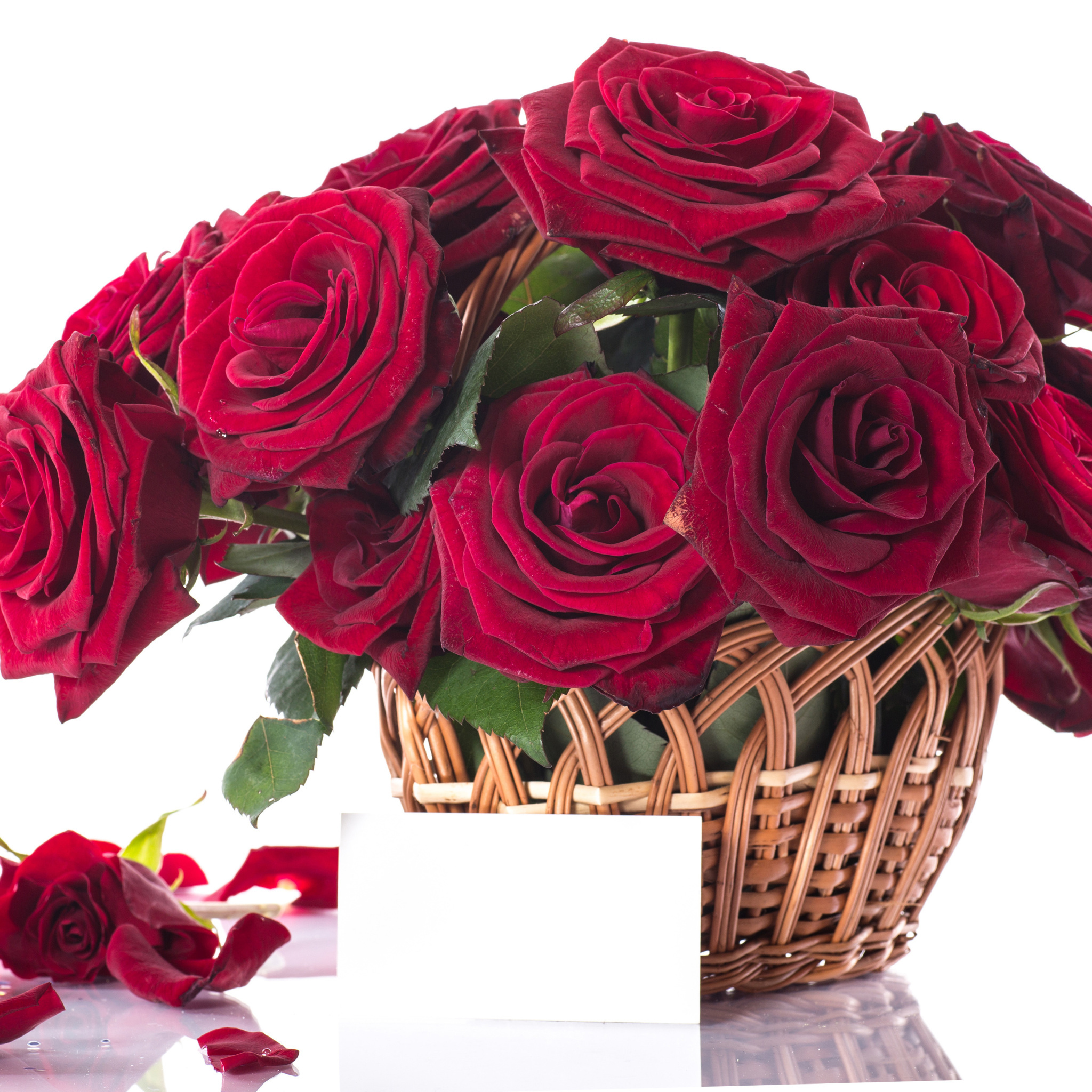 Screenshot №1 pro téma Roses Bouquet 2048x2048