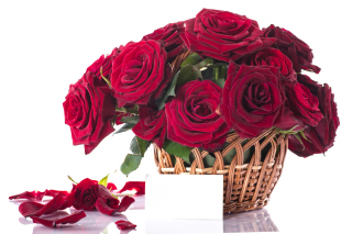 Roses Bouquet - Fondos de pantalla gratis 