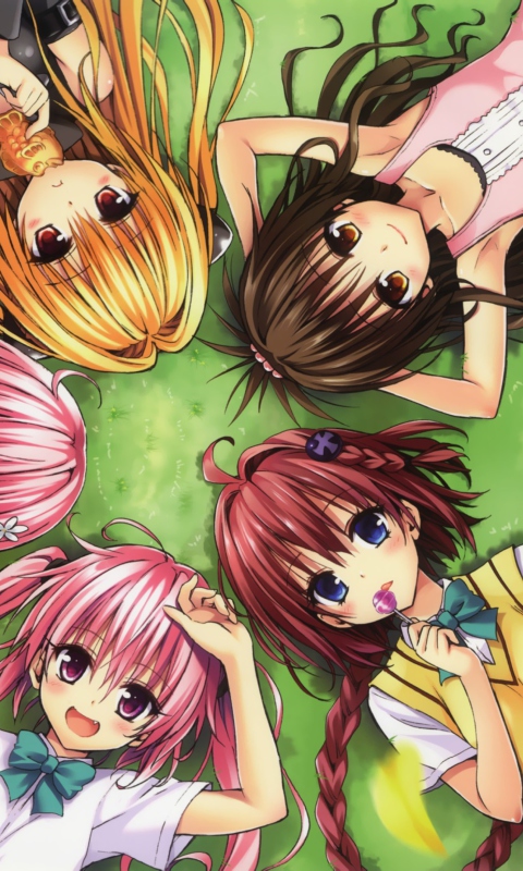 Das To Love-Ru Wallpaper 480x800