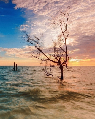 Penang, Malaysian state - Obrázkek zdarma pro 768x1280