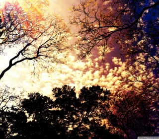 Картинка Colorful Sky для iPad Air