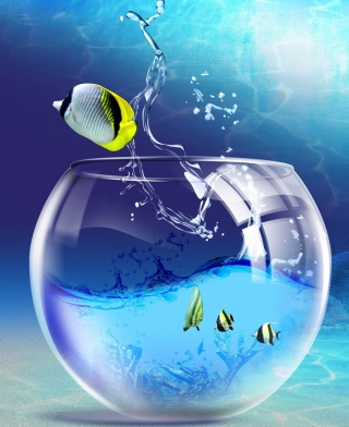 Yellow Fish - Obrázkek zdarma pro Nokia C-5 5MP