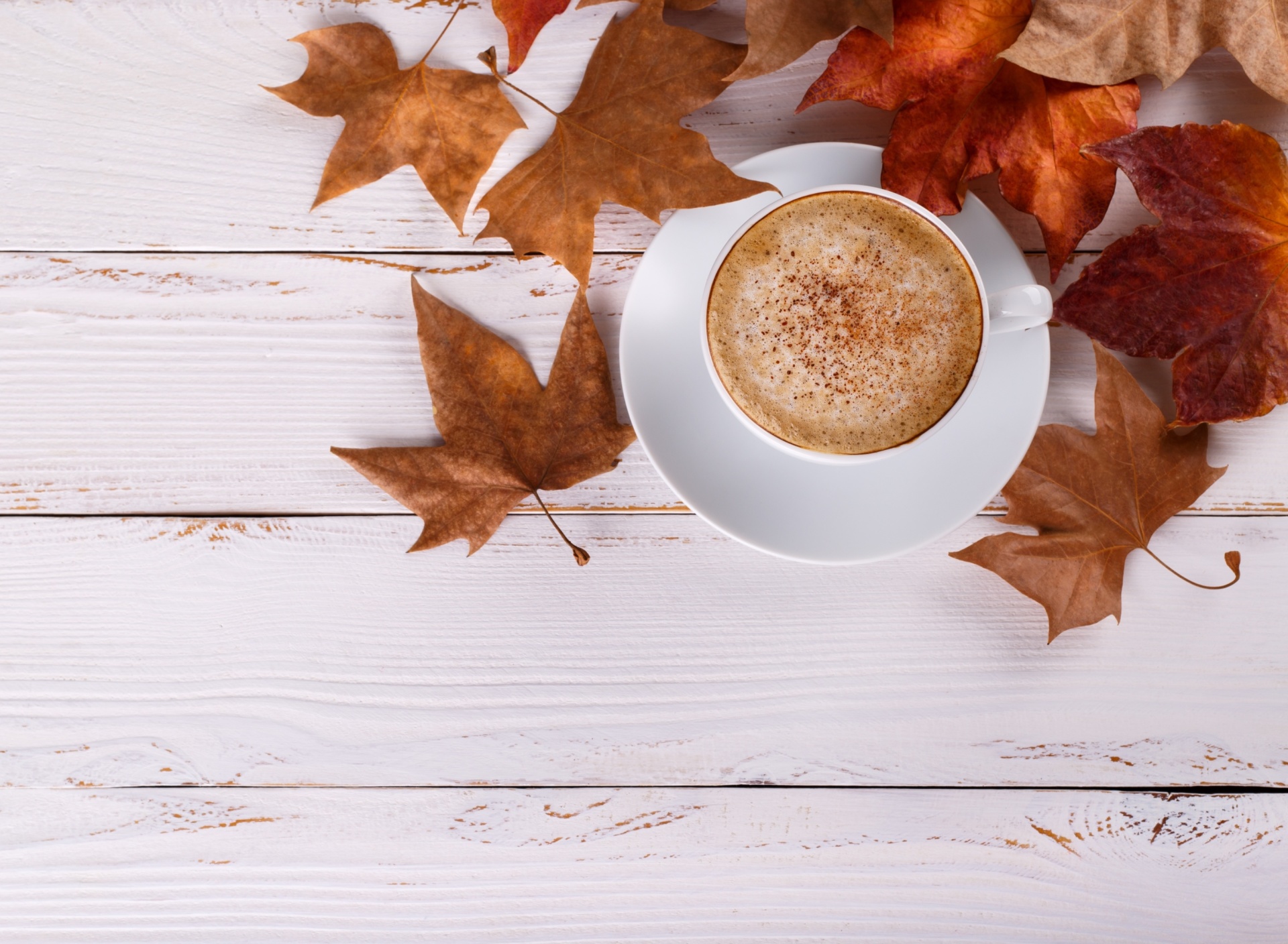 Das Cozy autumn morning with a cup of hot coffee Wallpaper 1920x1408