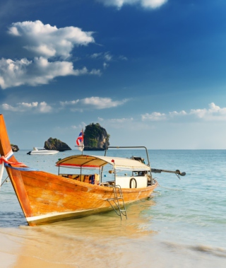 Boat On Beach sfondi gratuiti per Nokia Lumia 800
