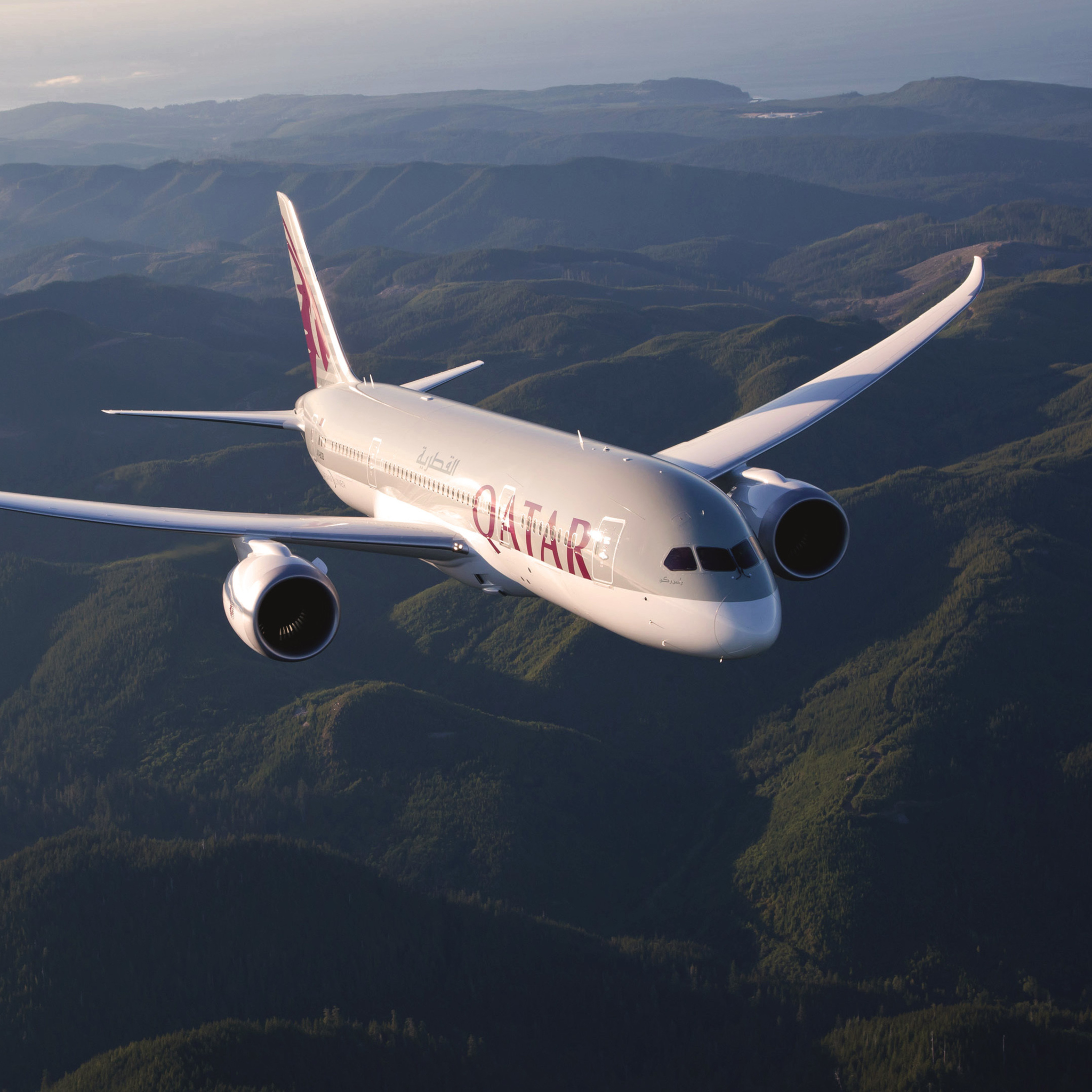 Screenshot №1 pro téma Qatar Airways - Boeing 787 2048x2048