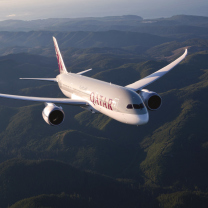 Fondo de pantalla Qatar Airways - Boeing 787 208x208