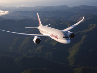Sfondi Qatar Airways - Boeing 787 320x240