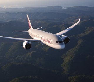 Qatar Airways - Boeing 787 - Obrázkek zdarma pro iPad 3