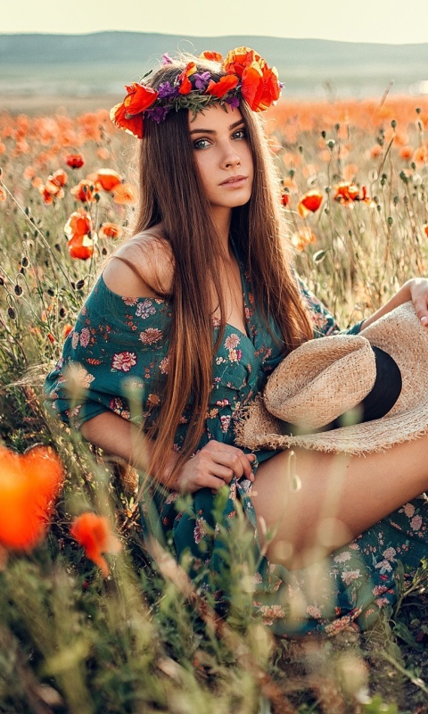 Das Girl in Poppy Field Wallpaper 480x800