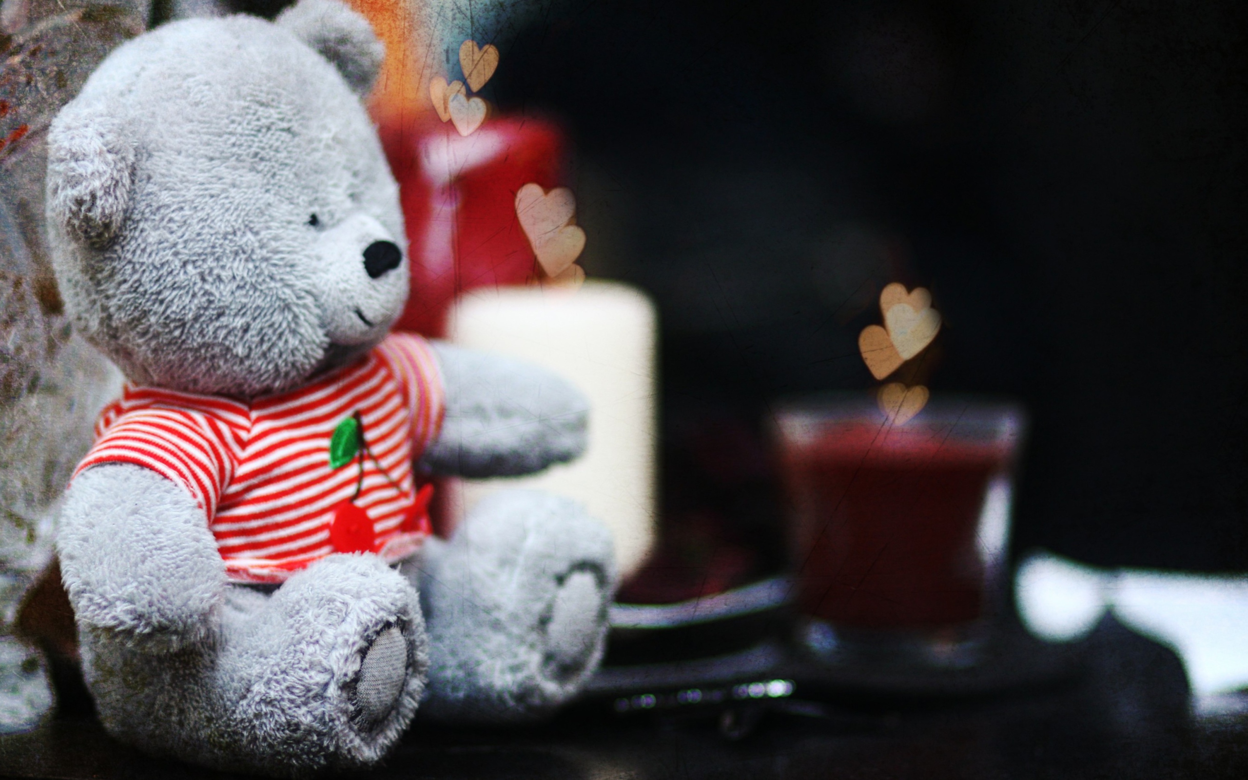 Sfondi Lovely Grey Teddy Bear 2560x1600