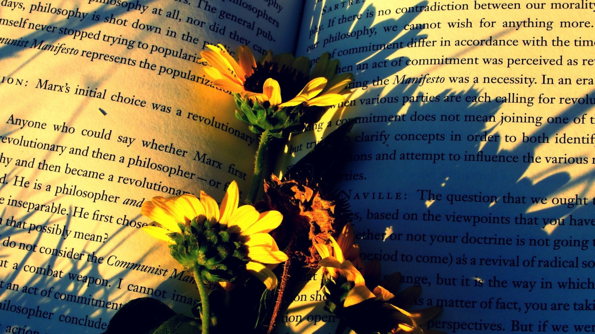 Screenshot №1 pro téma Yellow Daisies On Book Pages 1920x1080