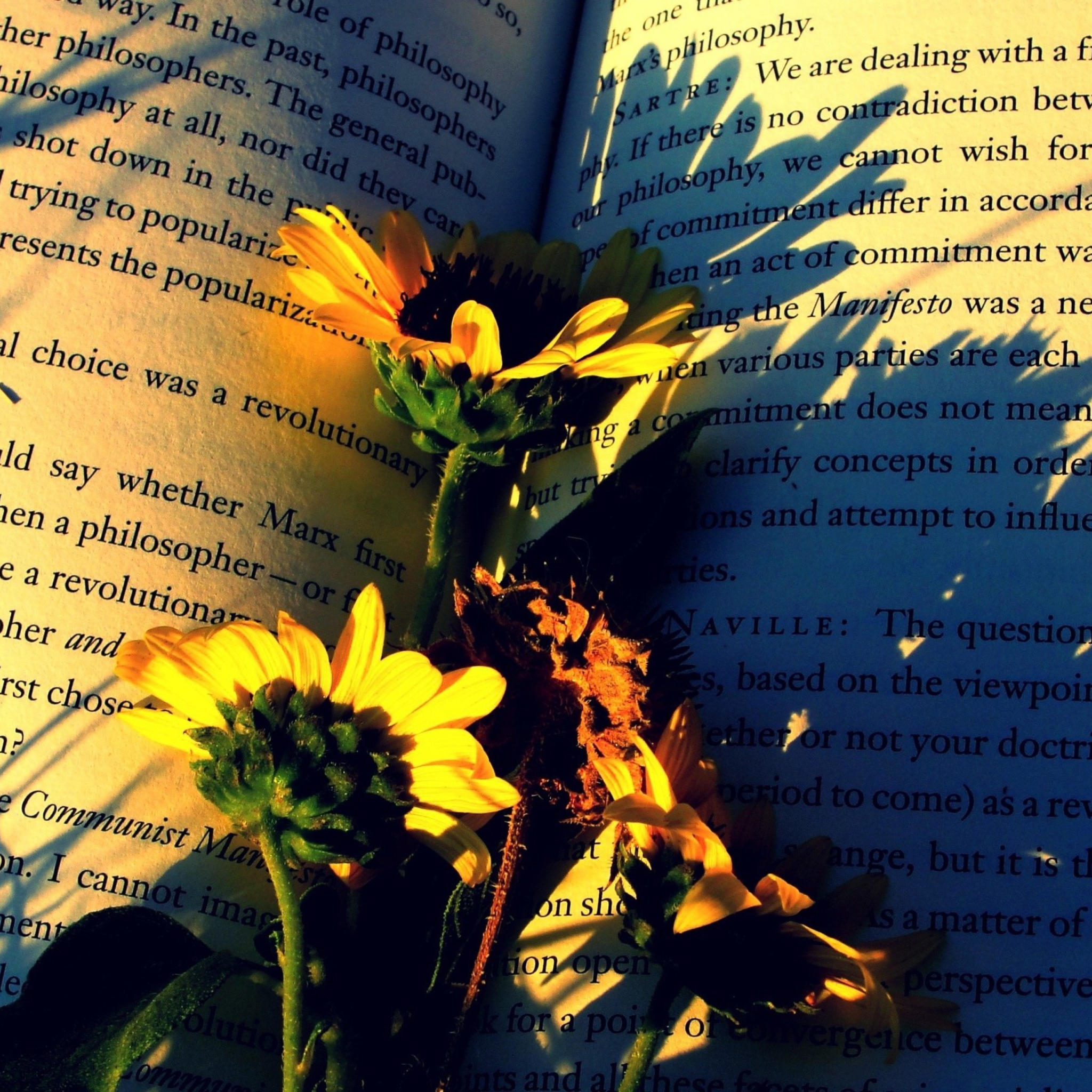 Screenshot №1 pro téma Yellow Daisies On Book Pages 2048x2048