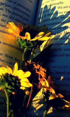 Screenshot №1 pro téma Yellow Daisies On Book Pages 240x400