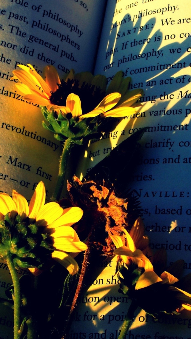 Yellow Daisies On Book Pages wallpaper 640x1136
