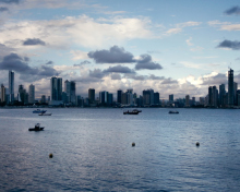 Panama City wallpaper 220x176