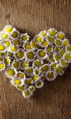 Sfondi Daisy Heart 240x400