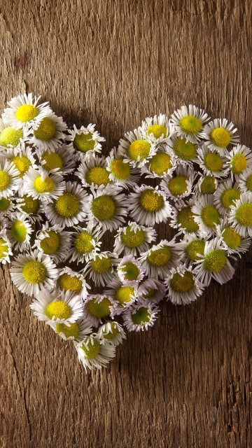 Daisy Heart screenshot #1 360x640