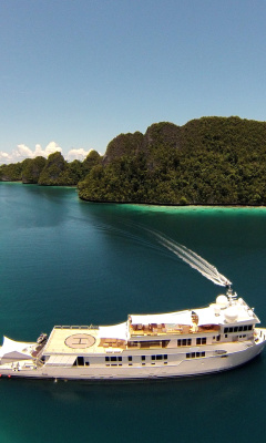Screenshot №1 pro téma Private Caribbean Cruise 240x400