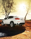 Screenshot №1 pro téma BMW X6 128x160