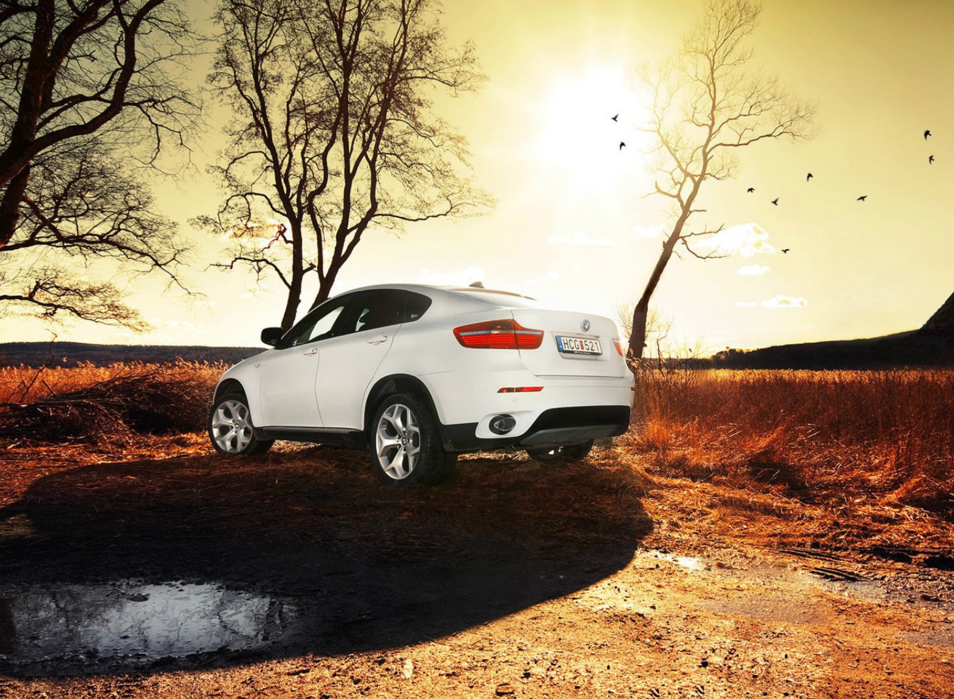 Screenshot №1 pro téma BMW X6 1920x1408