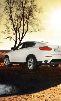 Screenshot №1 pro téma BMW X6 240x400