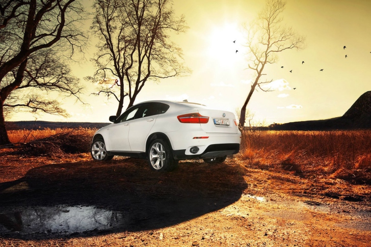 Screenshot №1 pro téma BMW X6