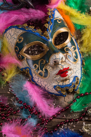 Das Carnevale di Venezia Wallpaper 320x480