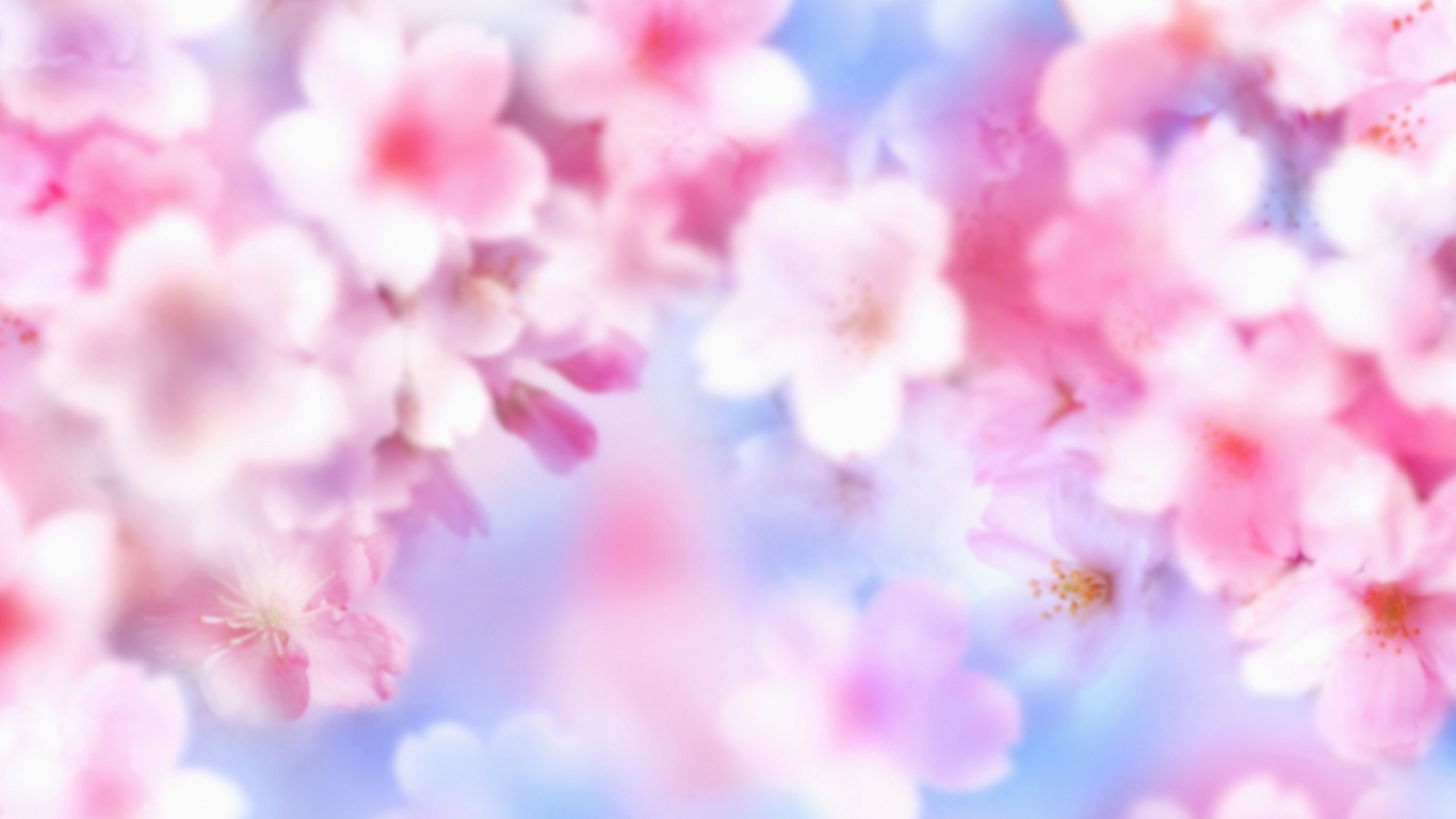 Screenshot №1 pro téma Pink Blossoms 1366x768