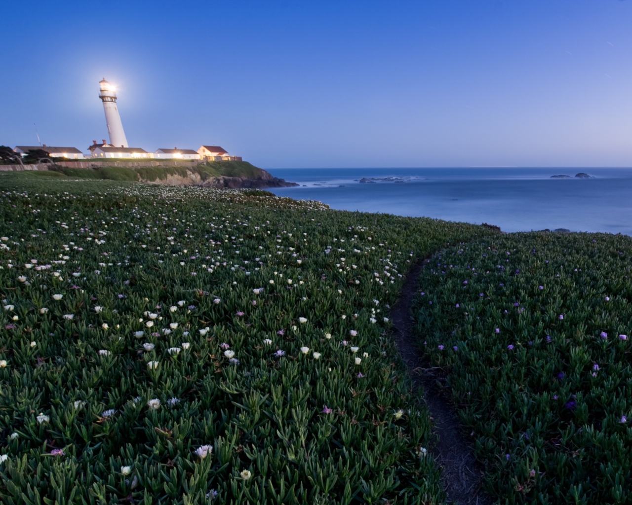 Screenshot №1 pro téma Pigeon Point Lighthouse 1280x1024