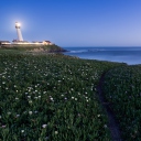 Fondo de pantalla Pigeon Point Lighthouse 128x128