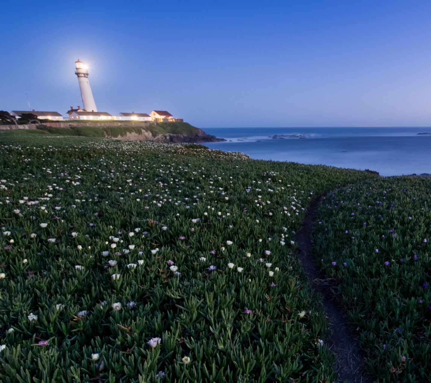 Screenshot №1 pro téma Pigeon Point Lighthouse 1440x1280