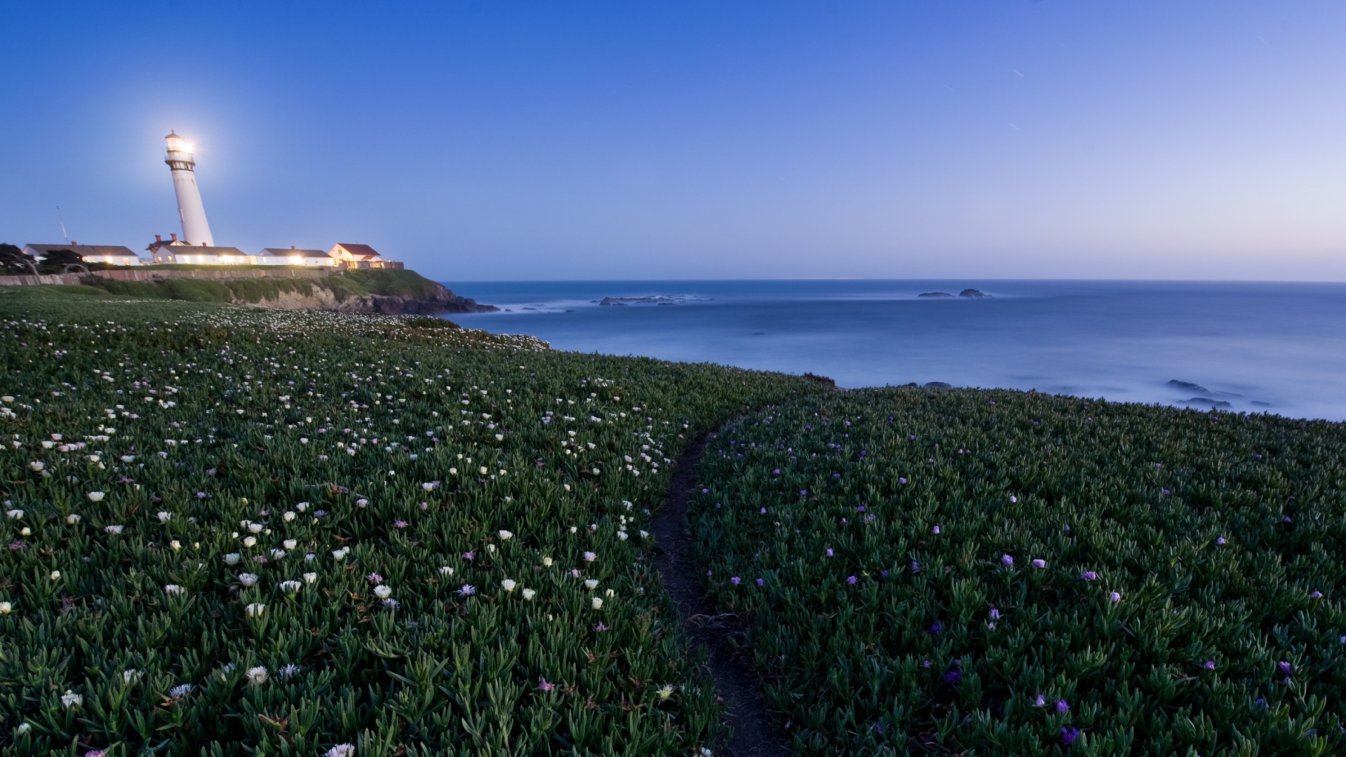 Screenshot №1 pro téma Pigeon Point Lighthouse 1920x1080