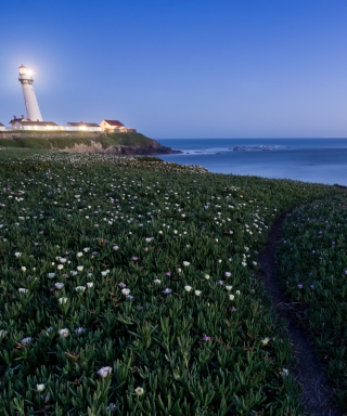 Pigeon Point Lighthouse - Obrázkek zdarma pro 240x400