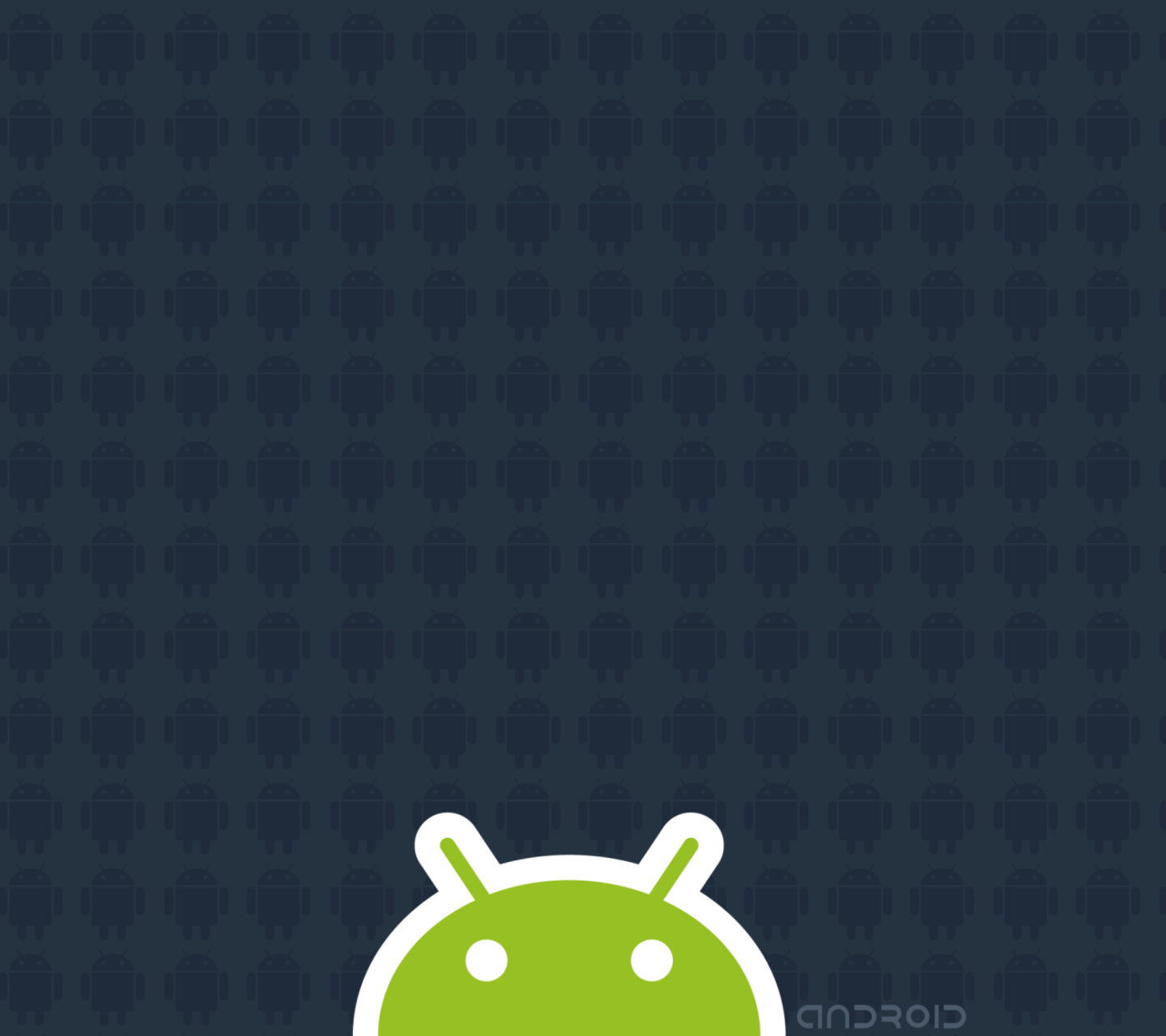 Android 2.2 wallpaper 1440x1280