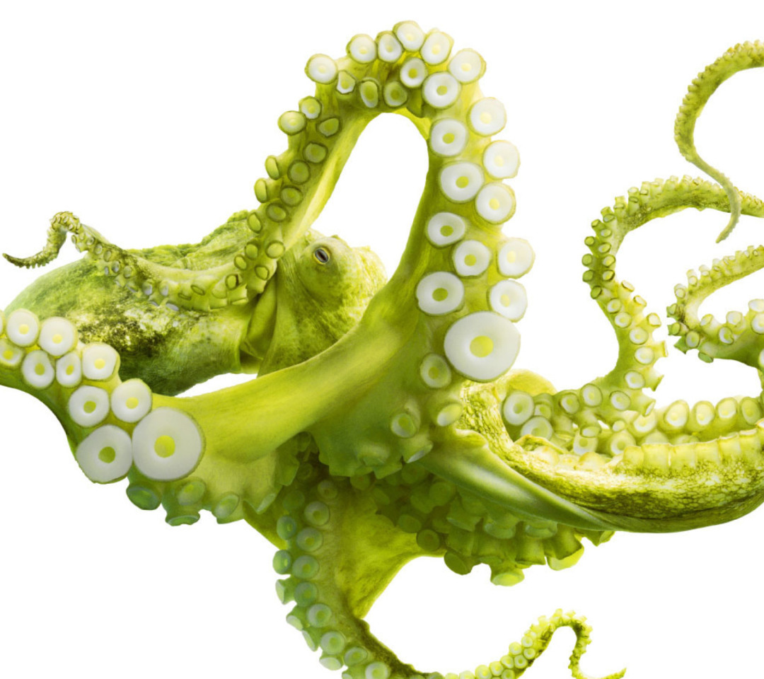 Das Green Octopus Wallpaper 1080x960