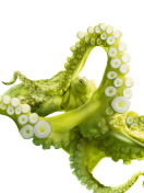 Screenshot №1 pro téma Green Octopus 132x176